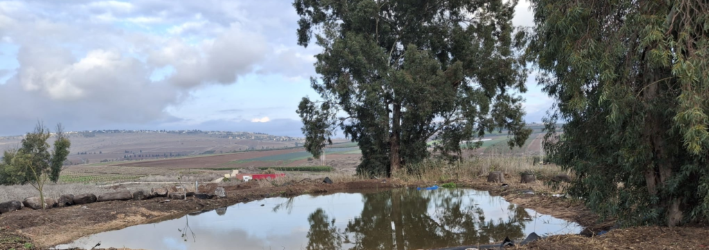 נביעת מים טבעית